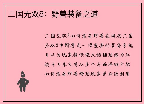三国无双8：野兽装备之道